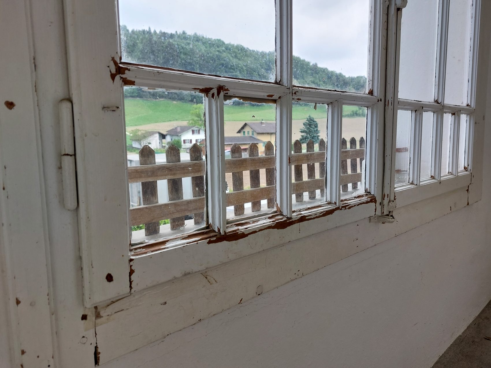 Laube und Fenster